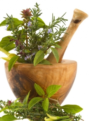 phytotherapie-plantes-medicinales